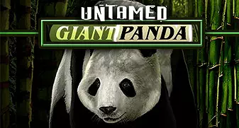 Untamed Giant Panda Κουλοχέρης